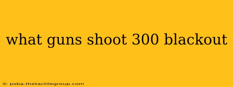 what guns shoot 300 blackout