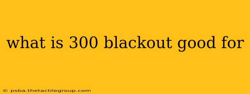 what is 300 blackout good for