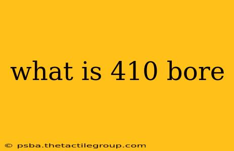 what is 410 bore