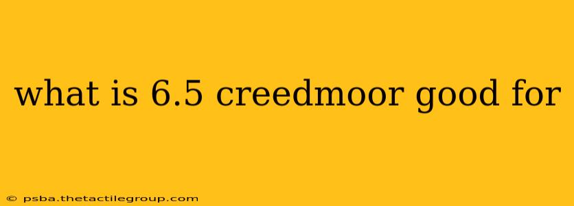 what is 6.5 creedmoor good for