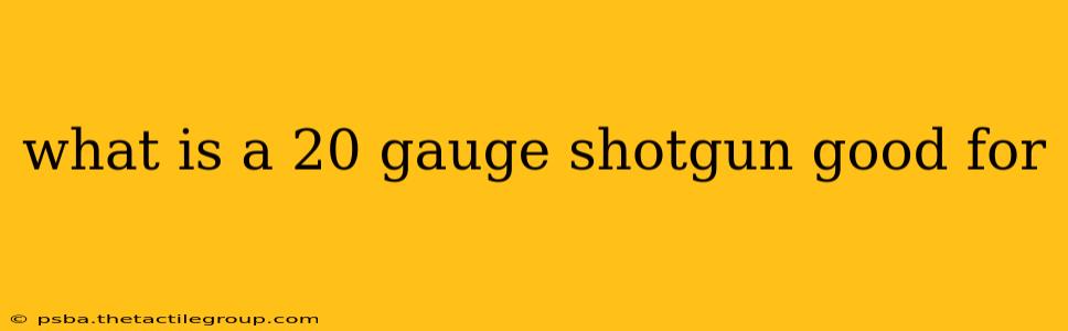 what is a 20 gauge shotgun good for