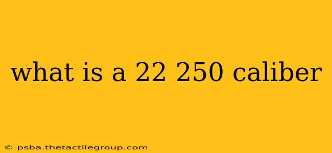 what is a 22 250 caliber