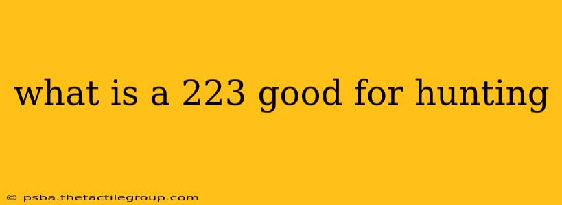 what is a 223 good for hunting