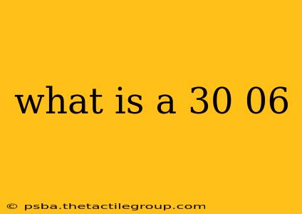 what is a 30 06