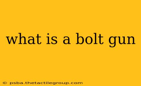 what is a bolt gun