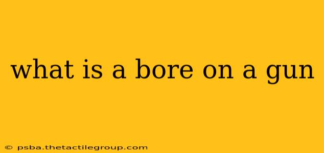 what is a bore on a gun