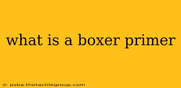 what is a boxer primer