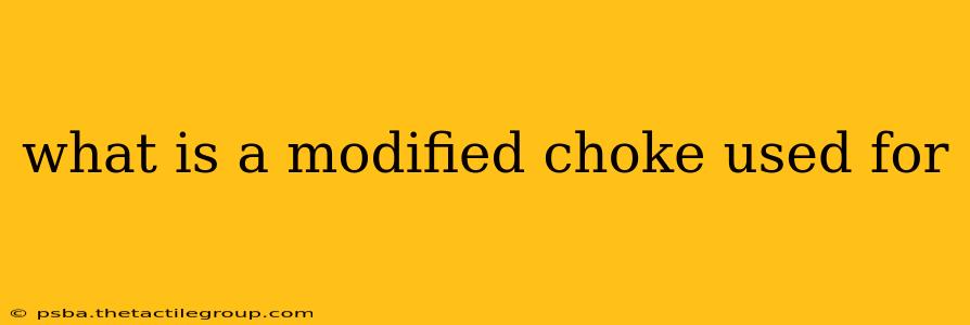 what is a modified choke used for