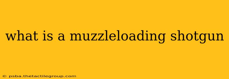 what is a muzzleloading shotgun