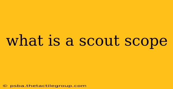 what is a scout scope