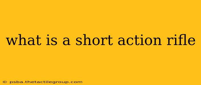 what is a short action rifle