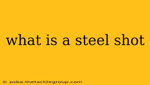 what is a steel shot