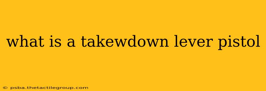 what is a takewdown lever pistol