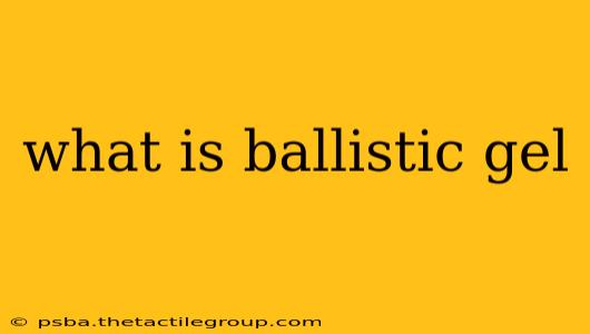 what is ballistic gel