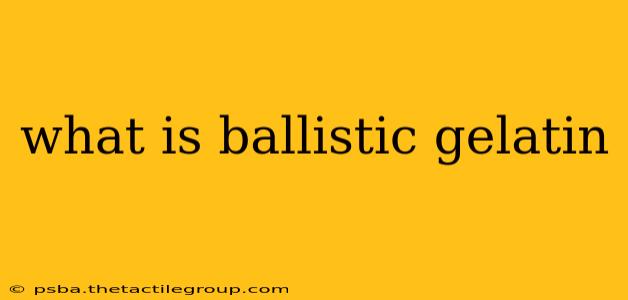 what is ballistic gelatin