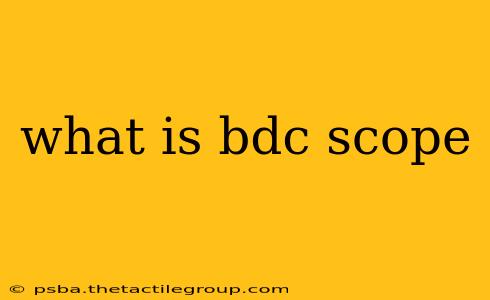 what is bdc scope