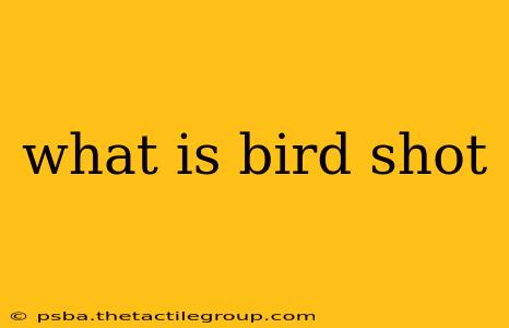 what is bird shot