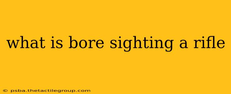 what is bore sighting a rifle