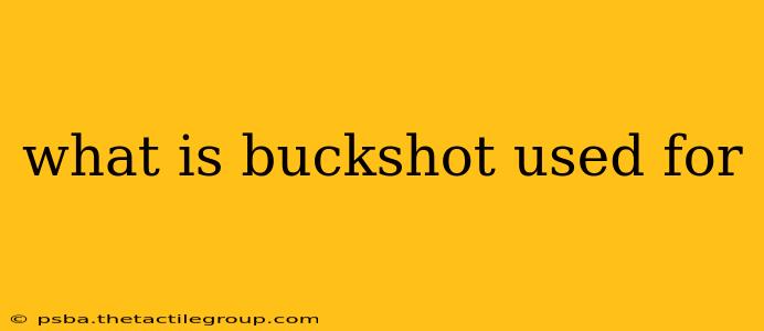 what is buckshot used for