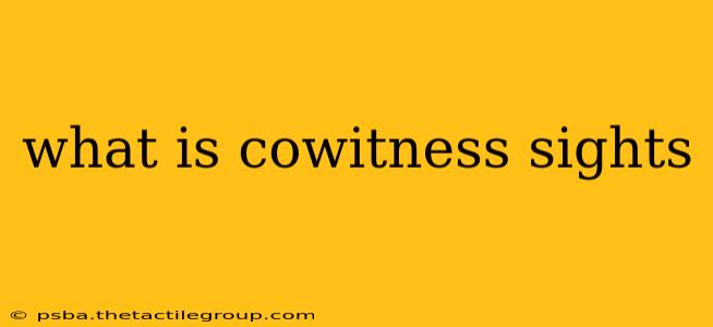 what is cowitness sights