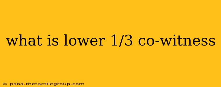 what is lower 1/3 co-witness