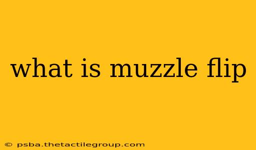 what is muzzle flip