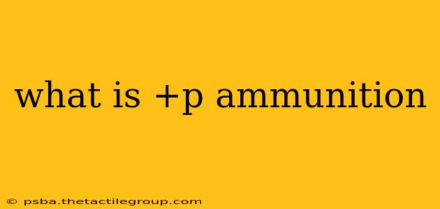 what is +p ammunition