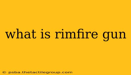 what is rimfire gun