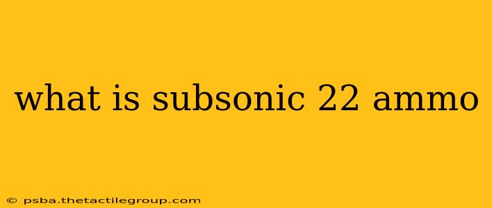 what is subsonic 22 ammo