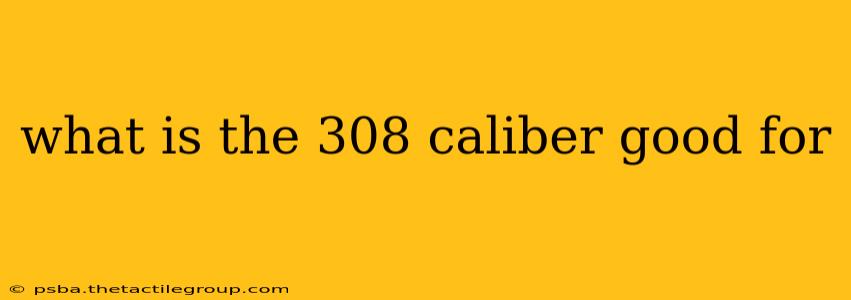 what is the 308 caliber good for