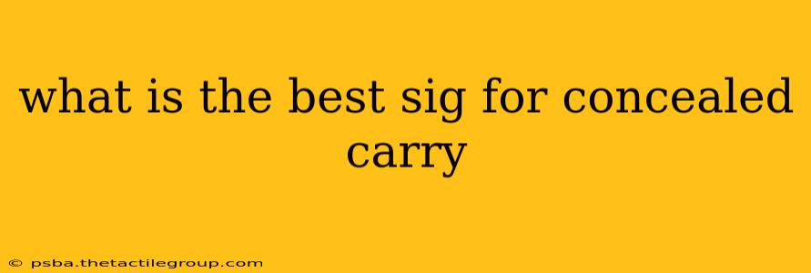 what is the best sig for concealed carry