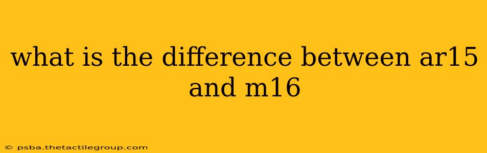 what is the difference between ar15 and m16