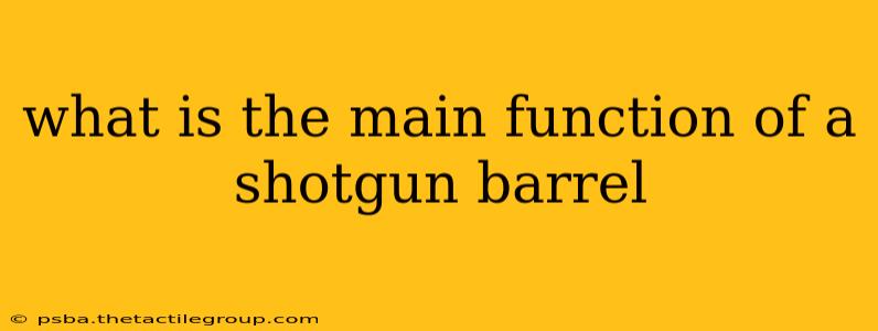 what is the main function of a shotgun barrel