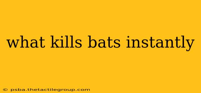 what kills bats instantly