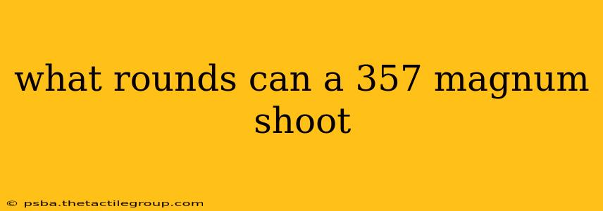 what rounds can a 357 magnum shoot