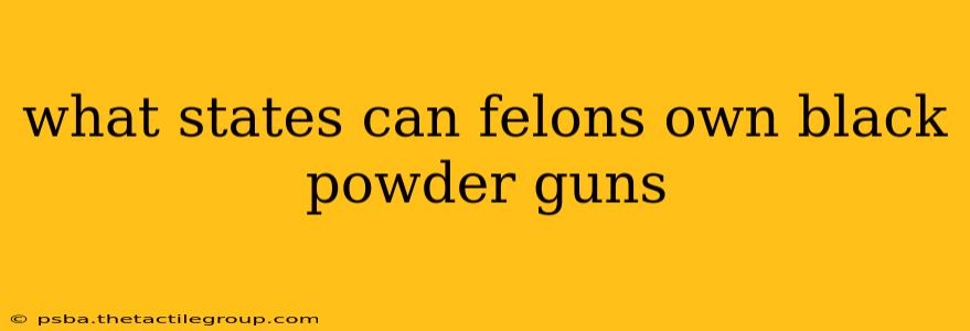 what states can felons own black powder guns