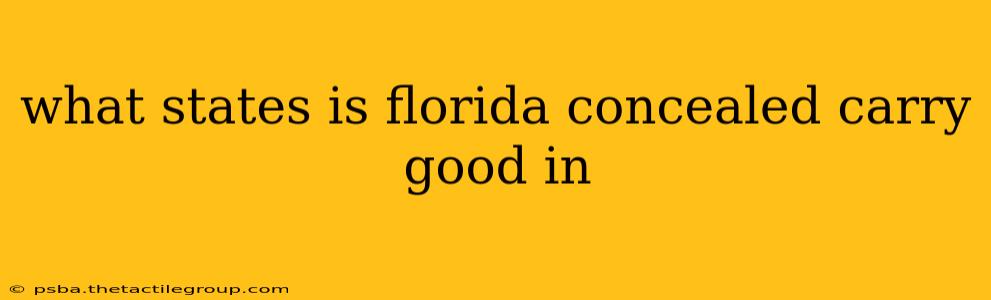 what states is florida concealed carry good in