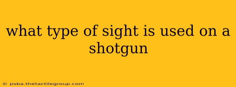 what type of sight is used on a shotgun