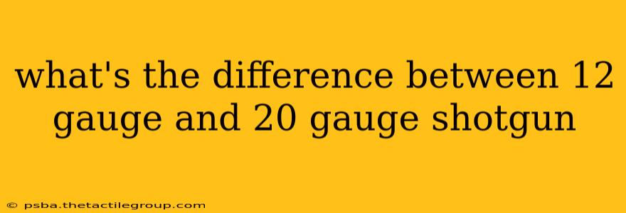 what's the difference between 12 gauge and 20 gauge shotgun