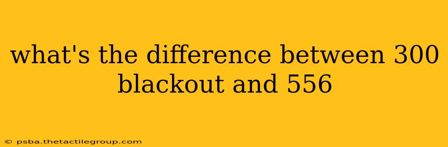 what's the difference between 300 blackout and 556