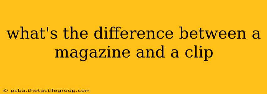 what's the difference between a magazine and a clip