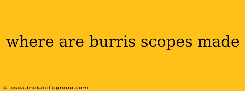 where are burris scopes made