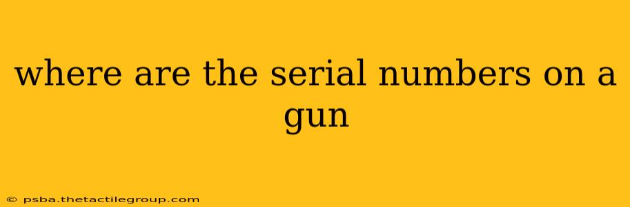 where are the serial numbers on a gun