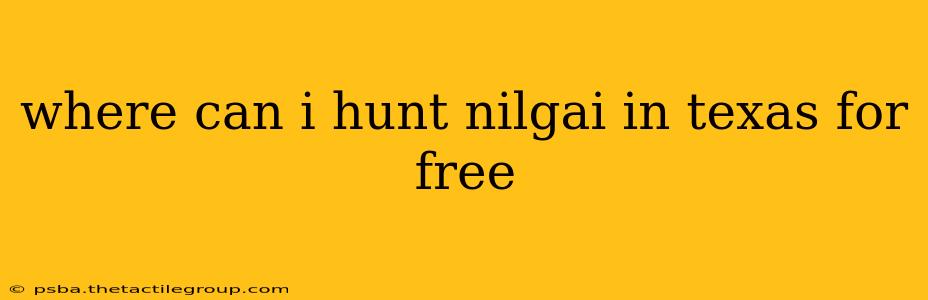 where can i hunt nilgai in texas for free