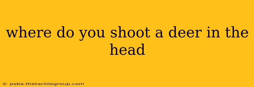 where do you shoot a deer in the head