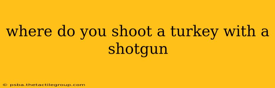 where do you shoot a turkey with a shotgun