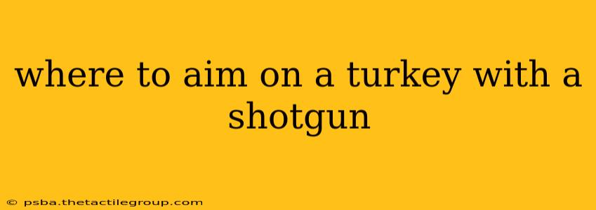 where to aim on a turkey with a shotgun