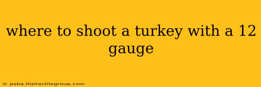 where to shoot a turkey with a 12 gauge