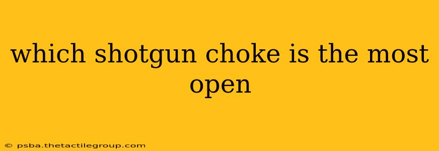 which shotgun choke is the most open