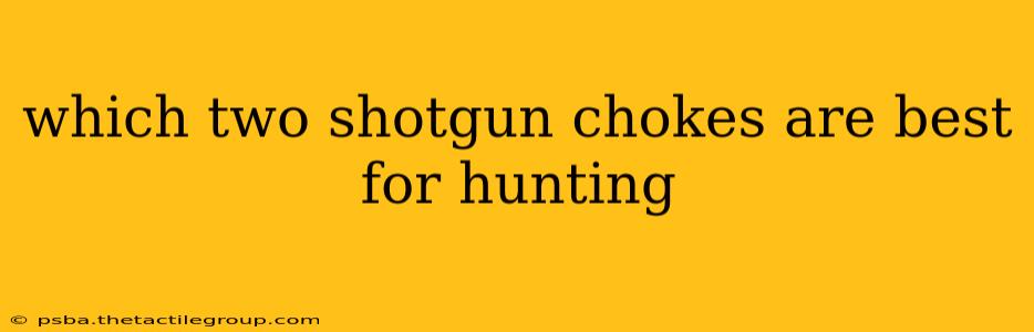 which two shotgun chokes are best for hunting